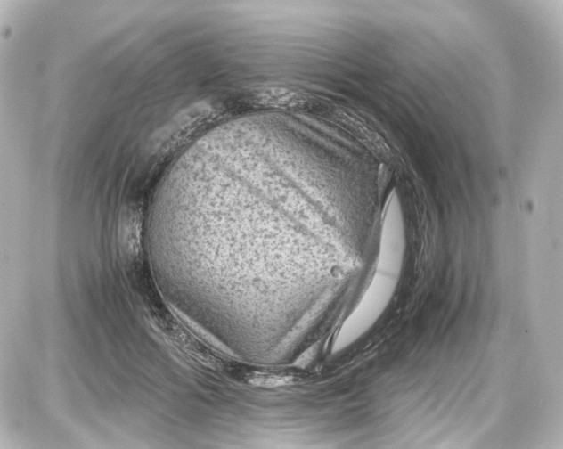 X0000087580602200705112239