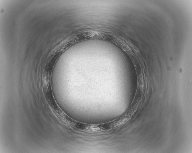 X0000087580607200705112239