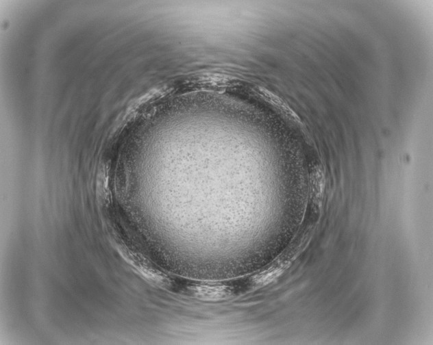 X0000087580615200705112239