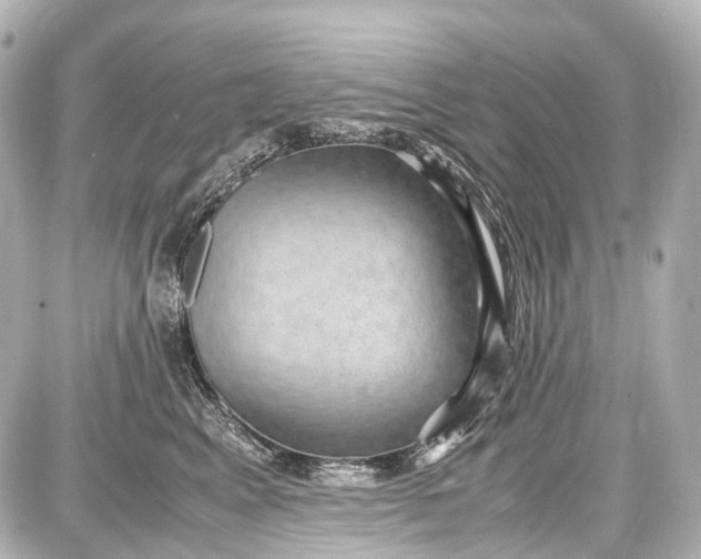 X0000087580617200705112239