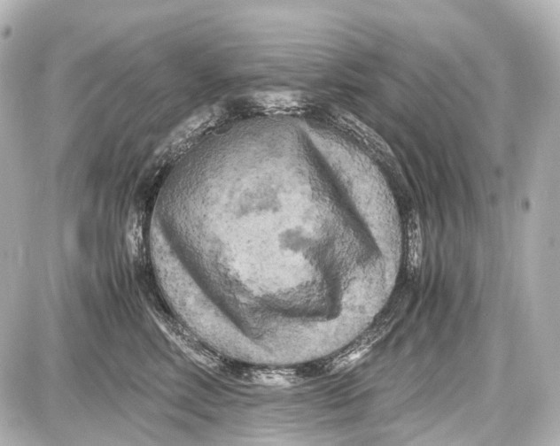X0000087580618200705112239