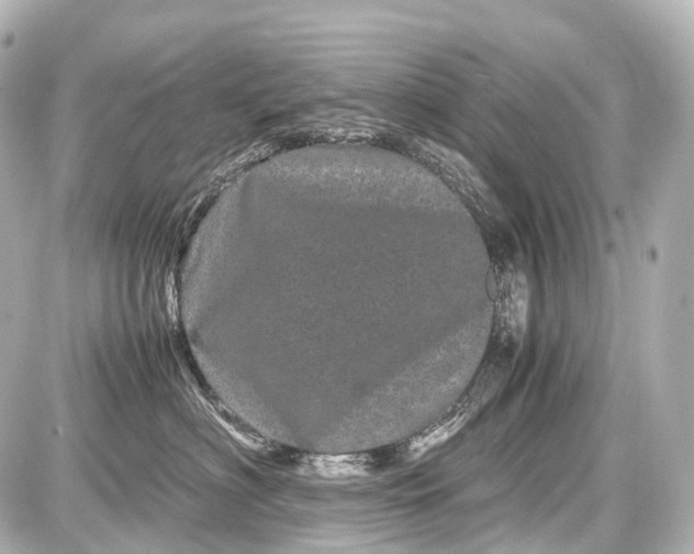 X0000087580622200705112239