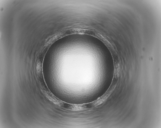 X0000087580623200705112239