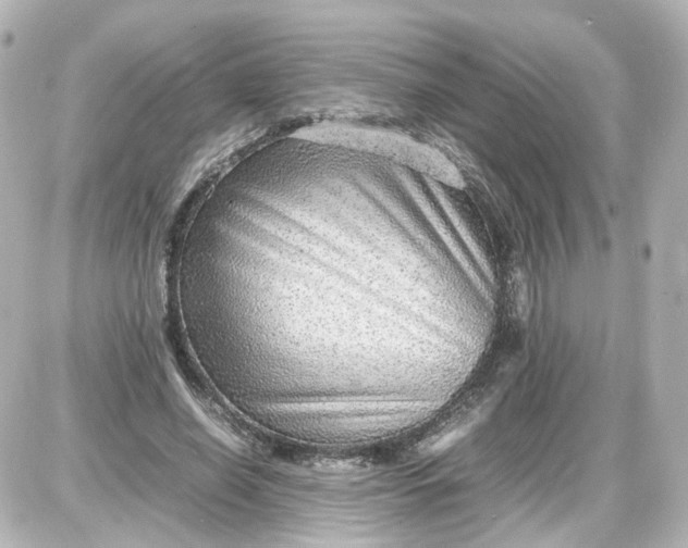 X0000087580638200705112238