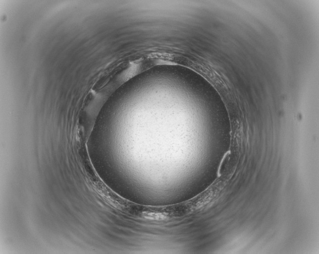 X0000087580649200705112239