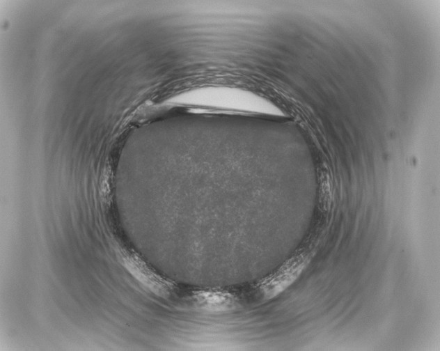 X0000087580654200705112239
