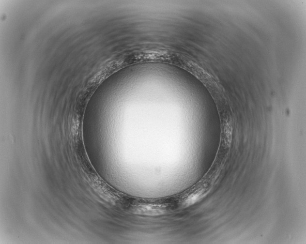 X0000087580657200705112239