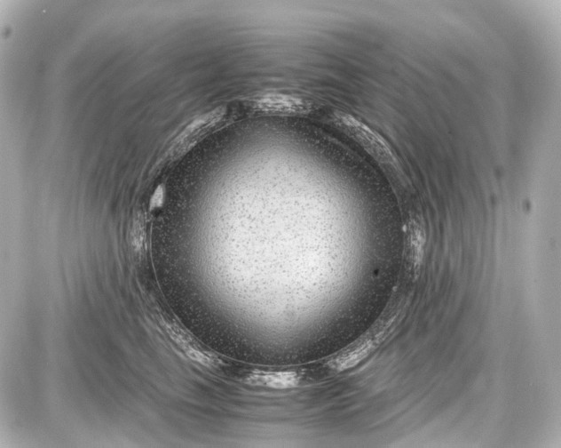 X0000087580665200705112239