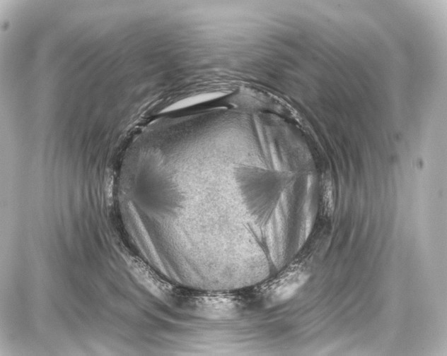 X0000087580668200705112239
