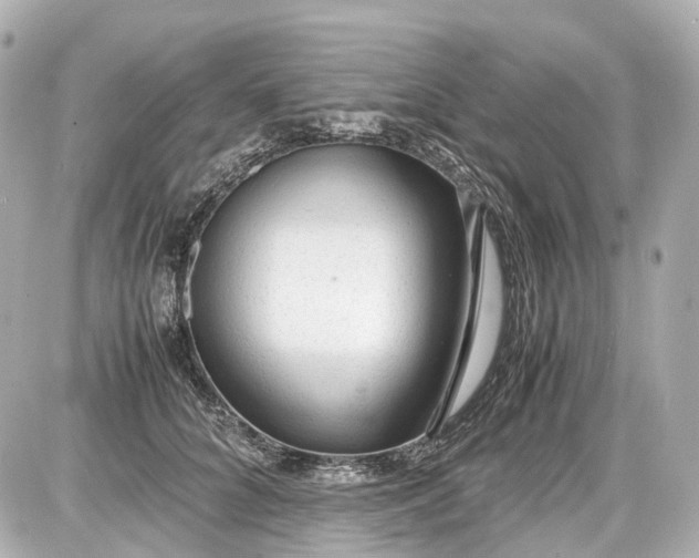 X0000087580704200705112238
