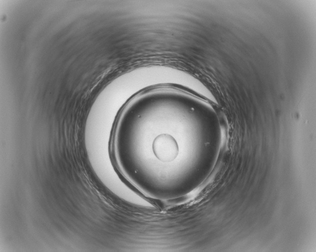 X0000087580712200705112237