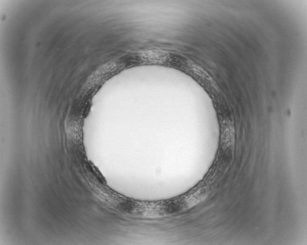 X0000087580713200705112237