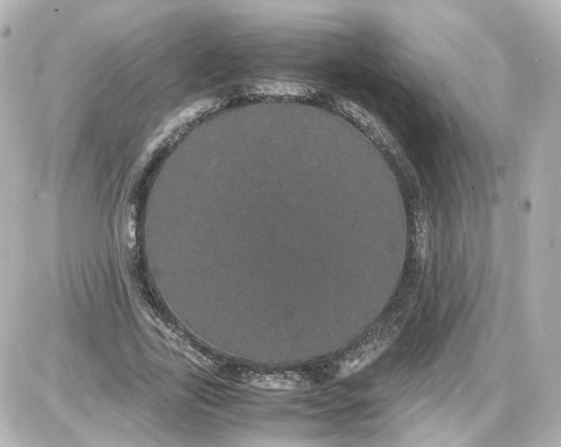 X0000087580731200705112237