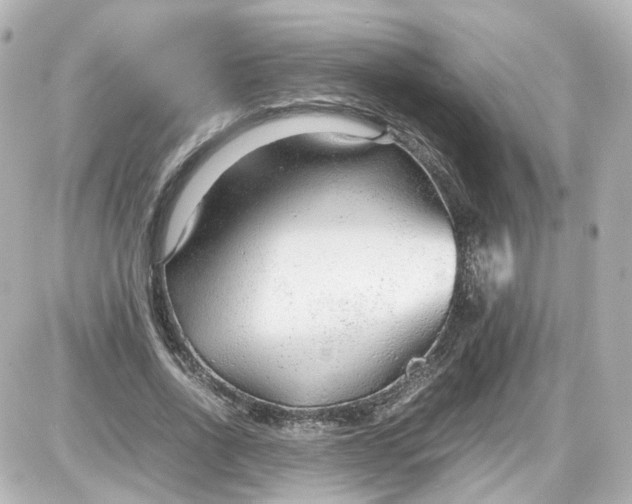 X0000087580734200705112237