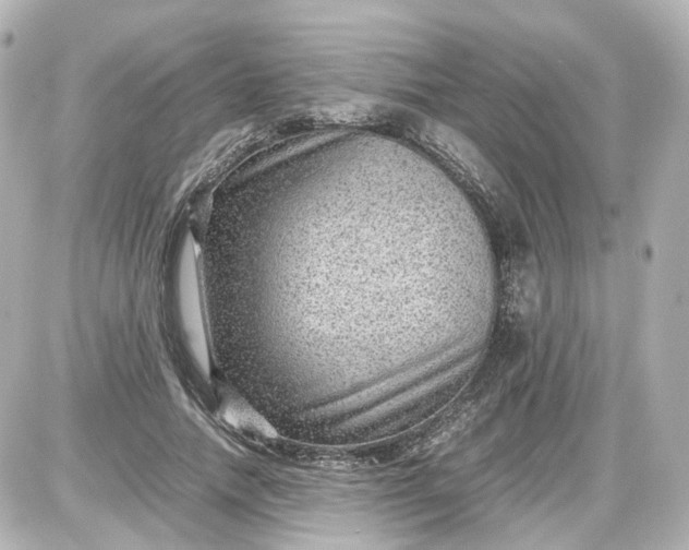 X0000087580738200705112237