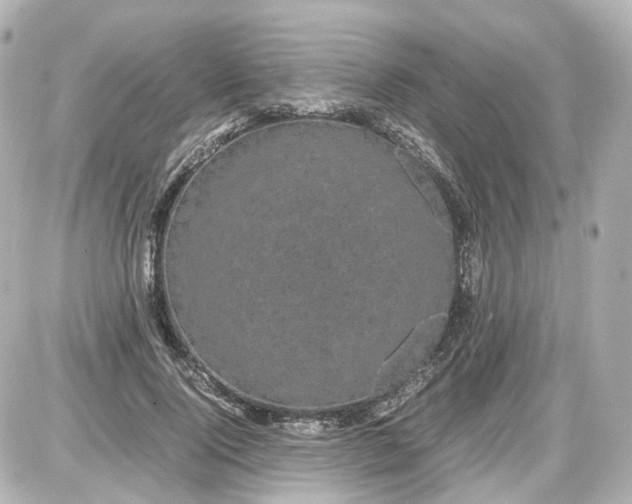 X0000087580740200705112237