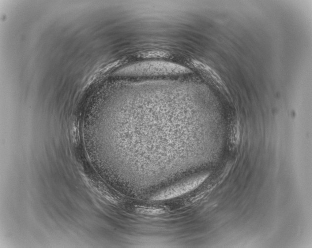 X0000087580743200705112237