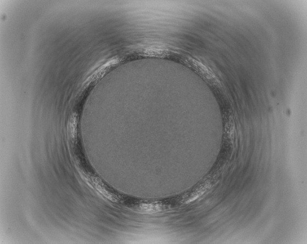 X0000087580744200705112237