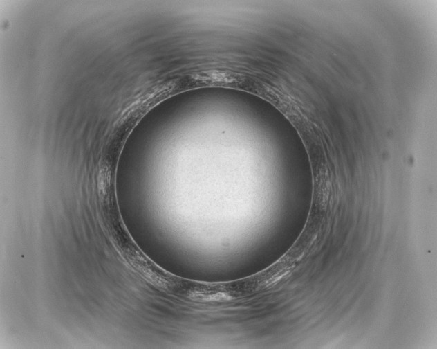 X0000087580747200705112237