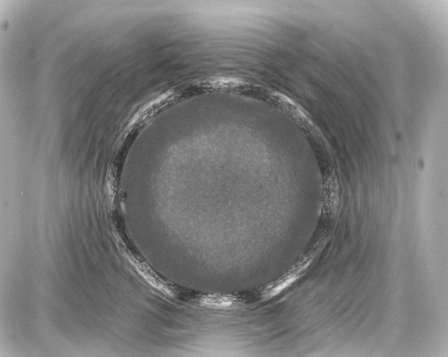X0000087580762200705112237