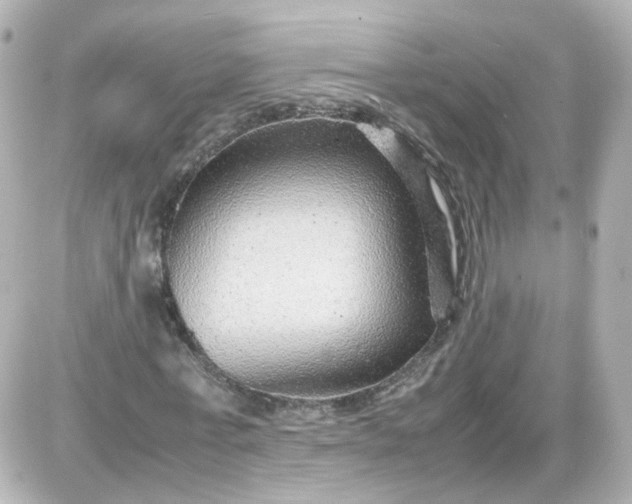 X0000087580771200705112237