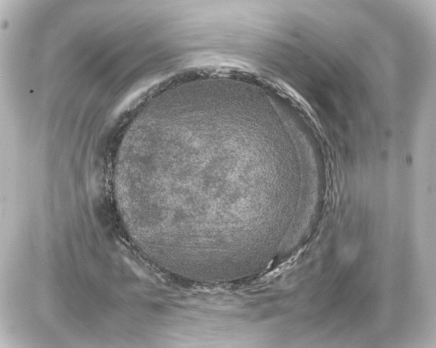 X0000087580775200705112236