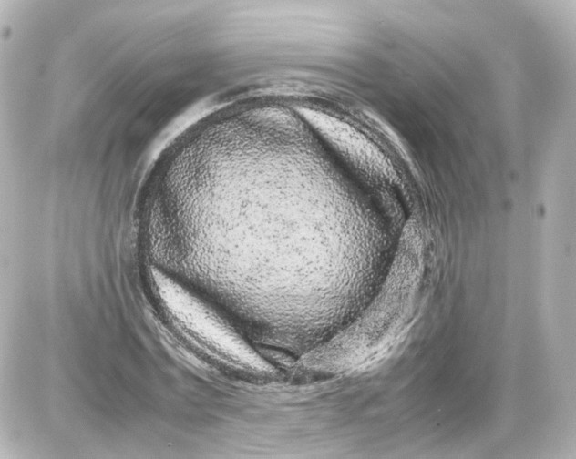 X0000087580779200705112236