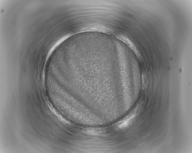 X0000087580780200705112236