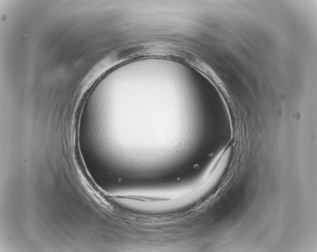 X0000087580795200705112236