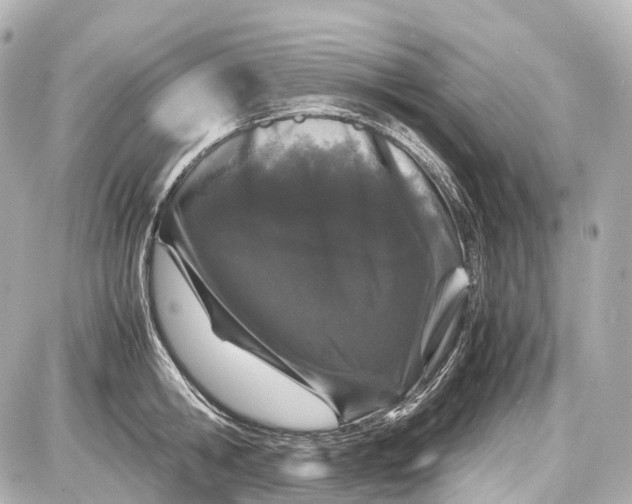 X0000087580806200705112236