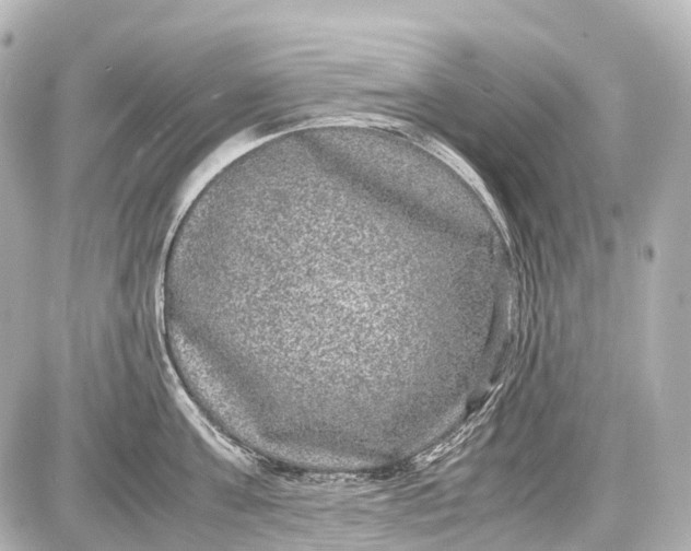 X0000087580811200705112236