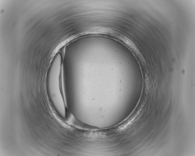X0000087580842200705112235