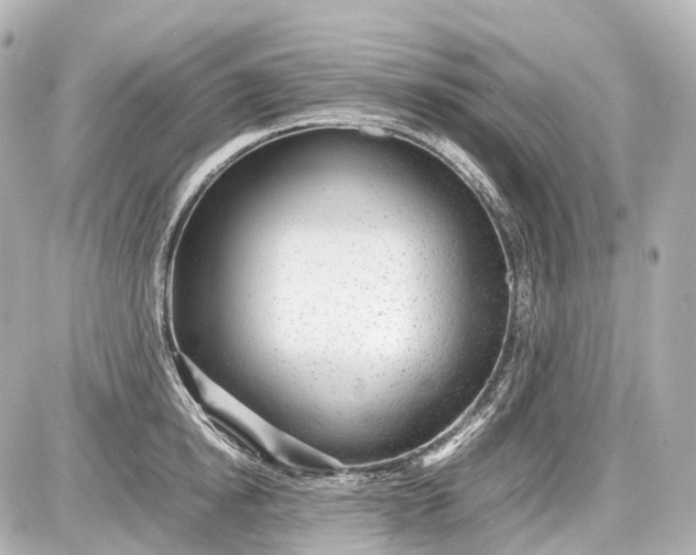 X0000087580854200705112236