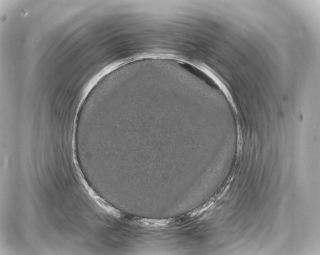 X0000087580861200705112236