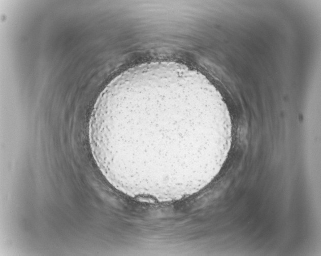 X0000087580865200705112235