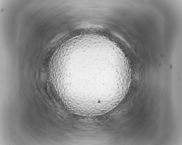 X0000087580869200705112235