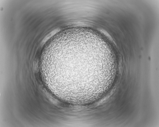 X0000087580873200705112235