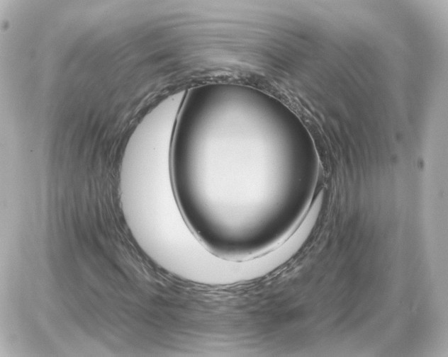 X0000087580916200705112233