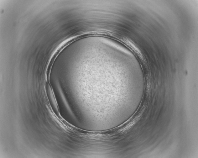 X0000087580940200705112234
