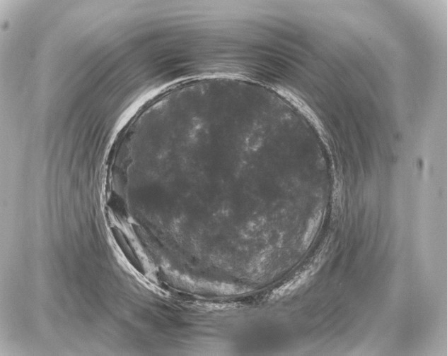 X0000087580941200705112234