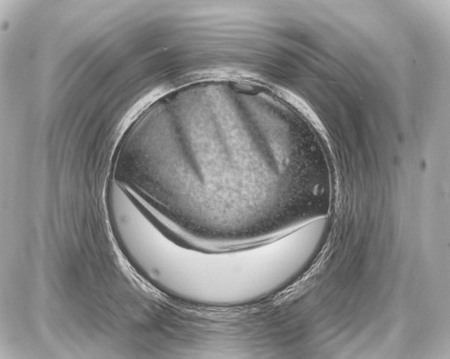 X0000087580946200705112234