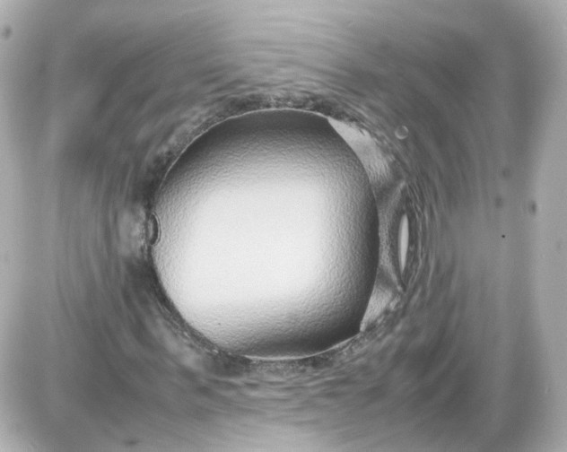 X0000087580963200705112233