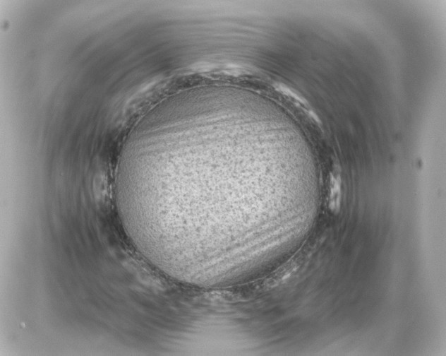 X0000087580966200705112233