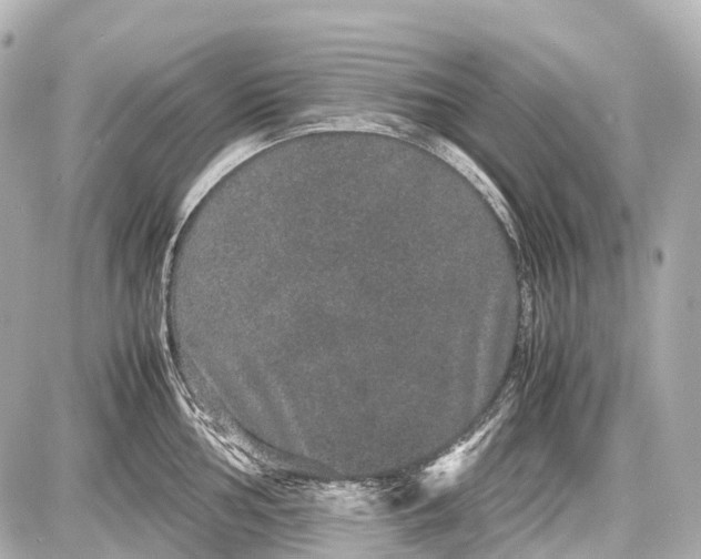 X0000087581002200705112233