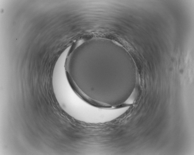 X0000087581010200705112232