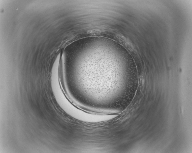 X0000087581012200705112232
