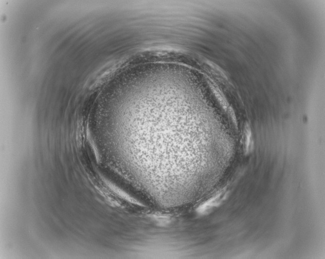 X0000087581014200705112232
