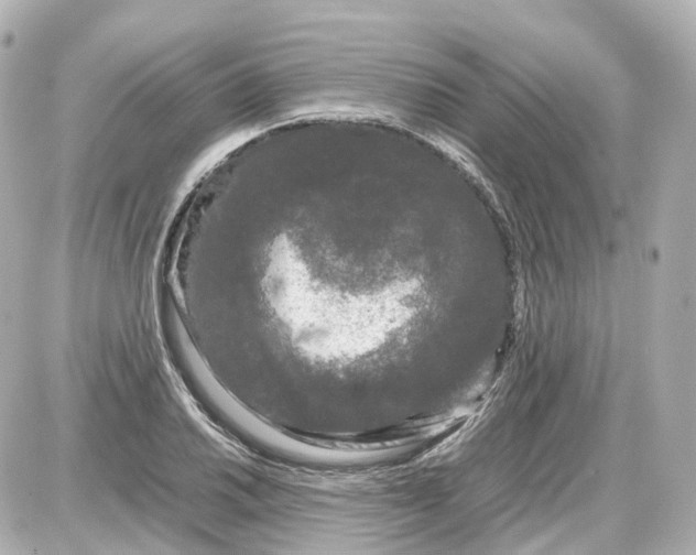 X0000087581030200705112232