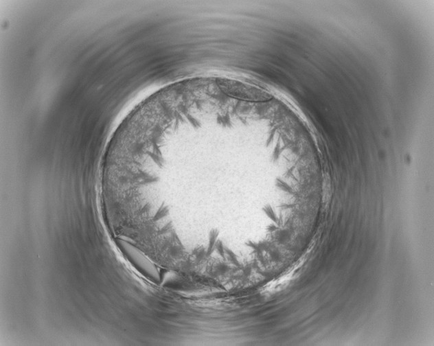 X0000087581048200705112233