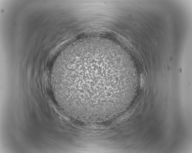 X0000087581059200705112232